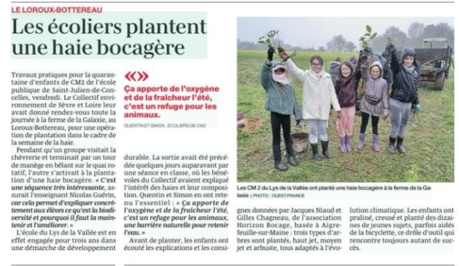 Semaine de la haie : Les écoliers plantent une haie bocagère Semaine de la haie 2025